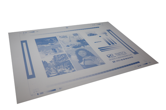 Double Layer Coating Positive CTP Thermal Plate For Offset Printing Machine